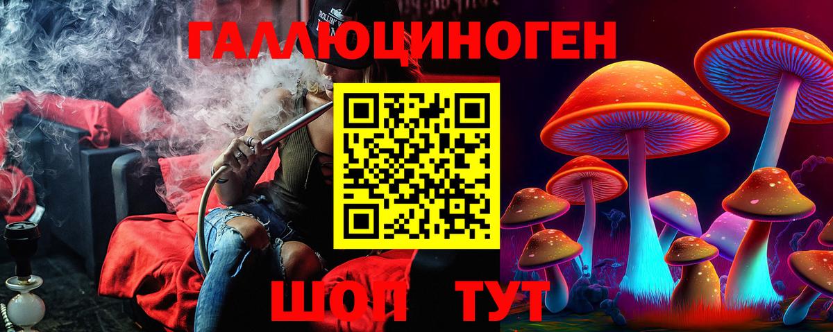 Галлюциногенные грибы Psilocybine cubensis  Вход с VPN  Кострома 