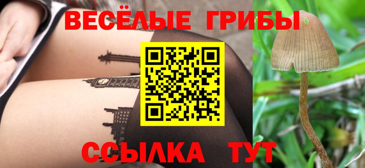Галлюциногенные грибы MAGIC MUSHROOMS Кострома